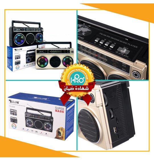 راديو + صب انتيكا بلوتوث + مخرج فلاشة وكارت ميمورى شحن وكهرباء مباشر  GOLON RX-666D 